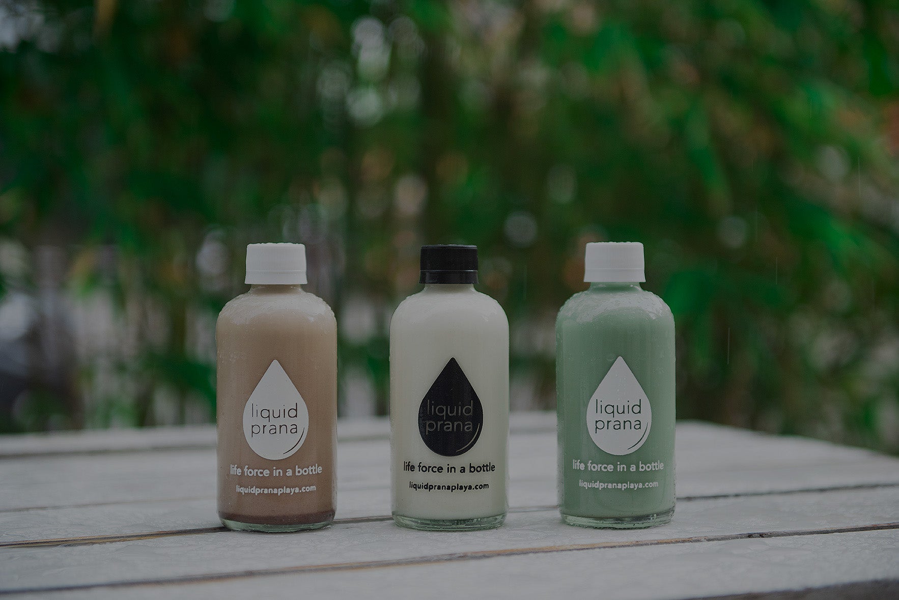 LP Nut Mylks - Liquid Prana