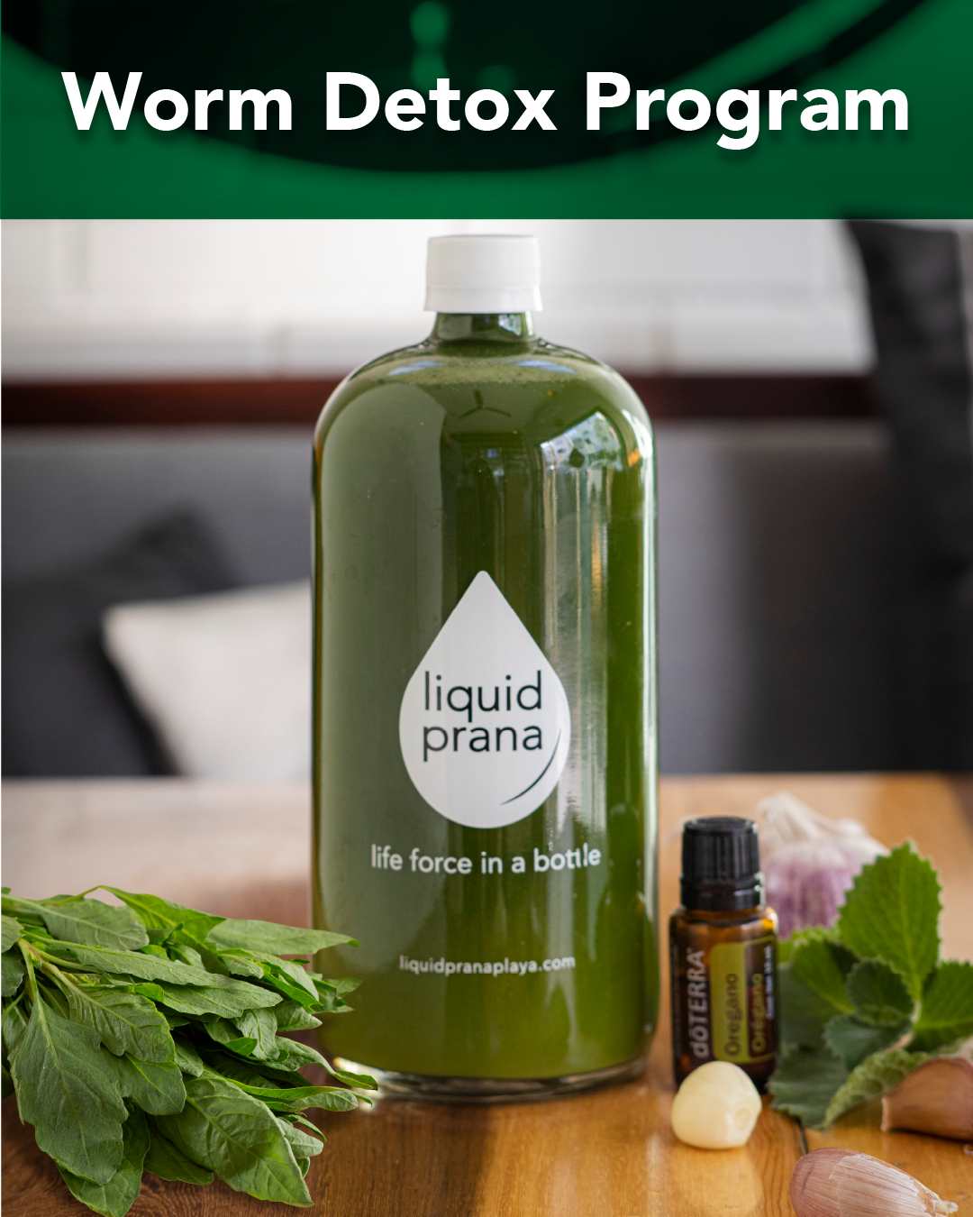 Worm Detox Plan